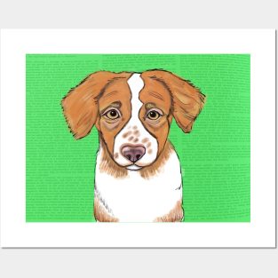 Sweet Brittany Puppy Posters and Art